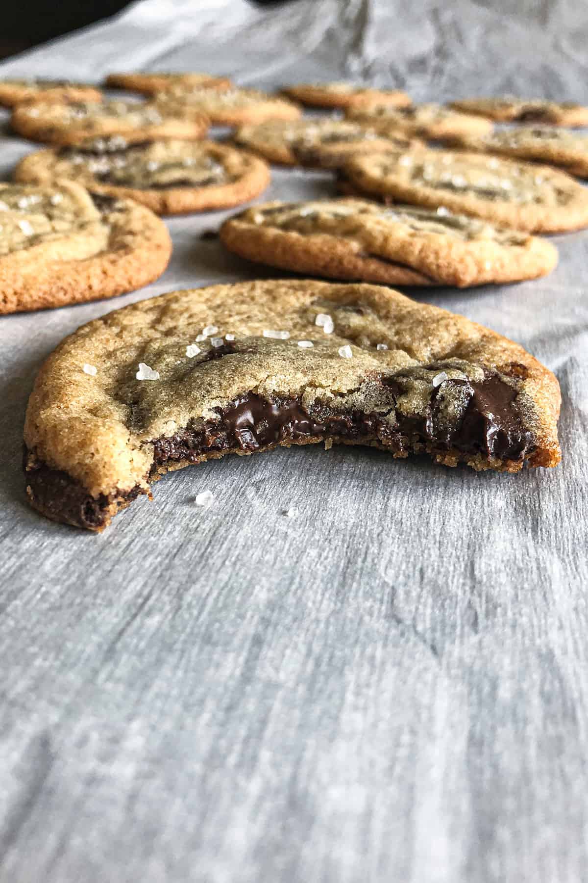 Chocolate chip cookie with a bite out of it