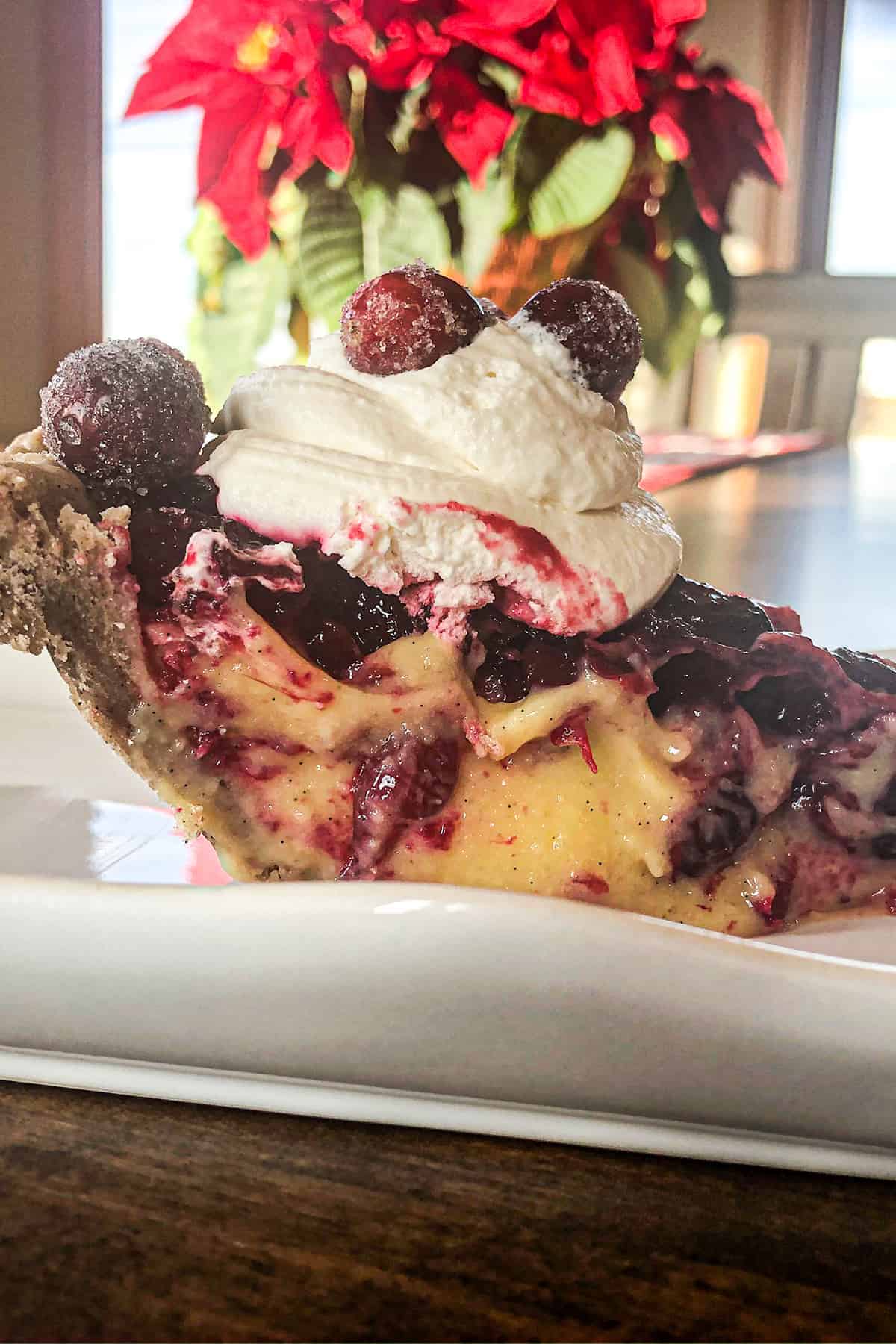 Cranberry custard pie slice from the side.